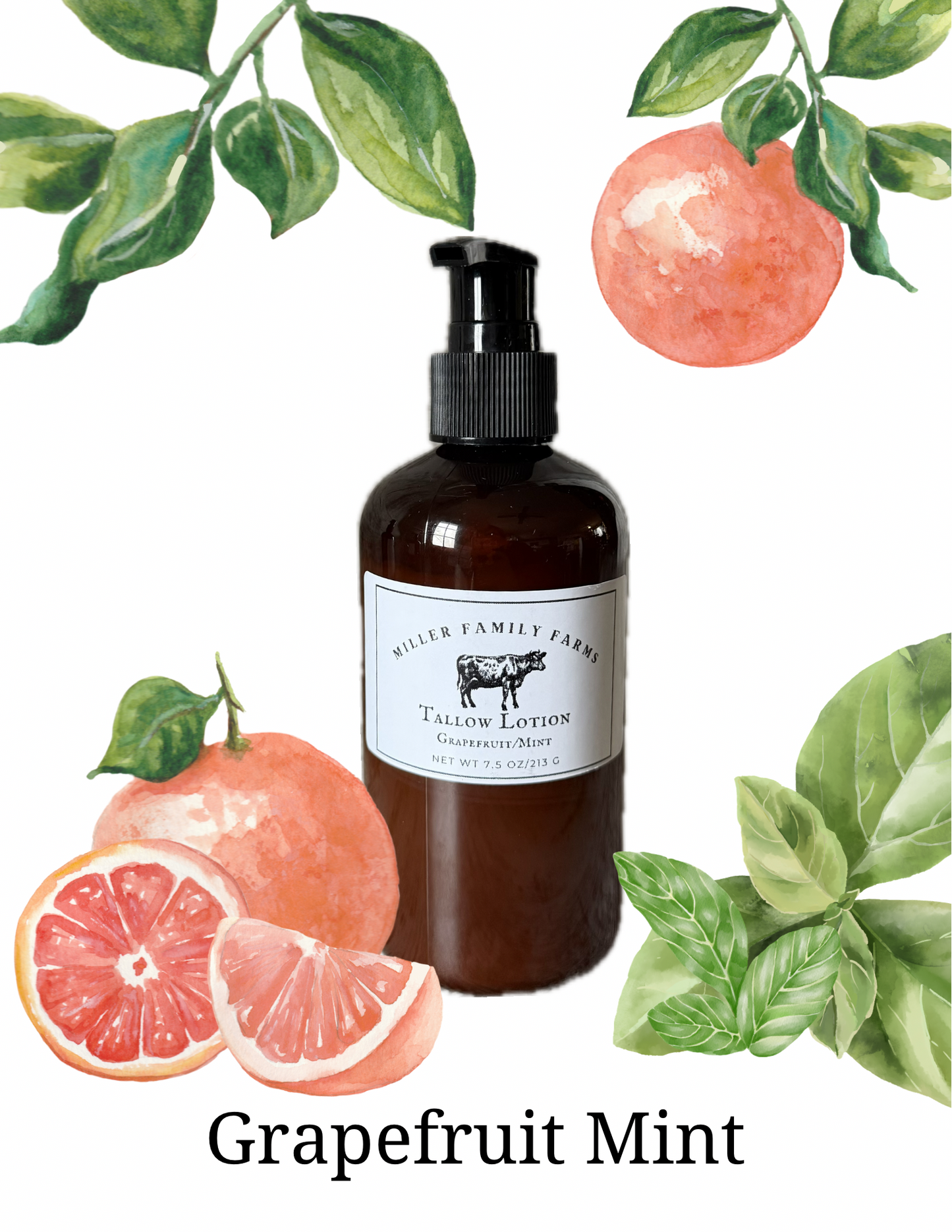 Tallow Body Lotion