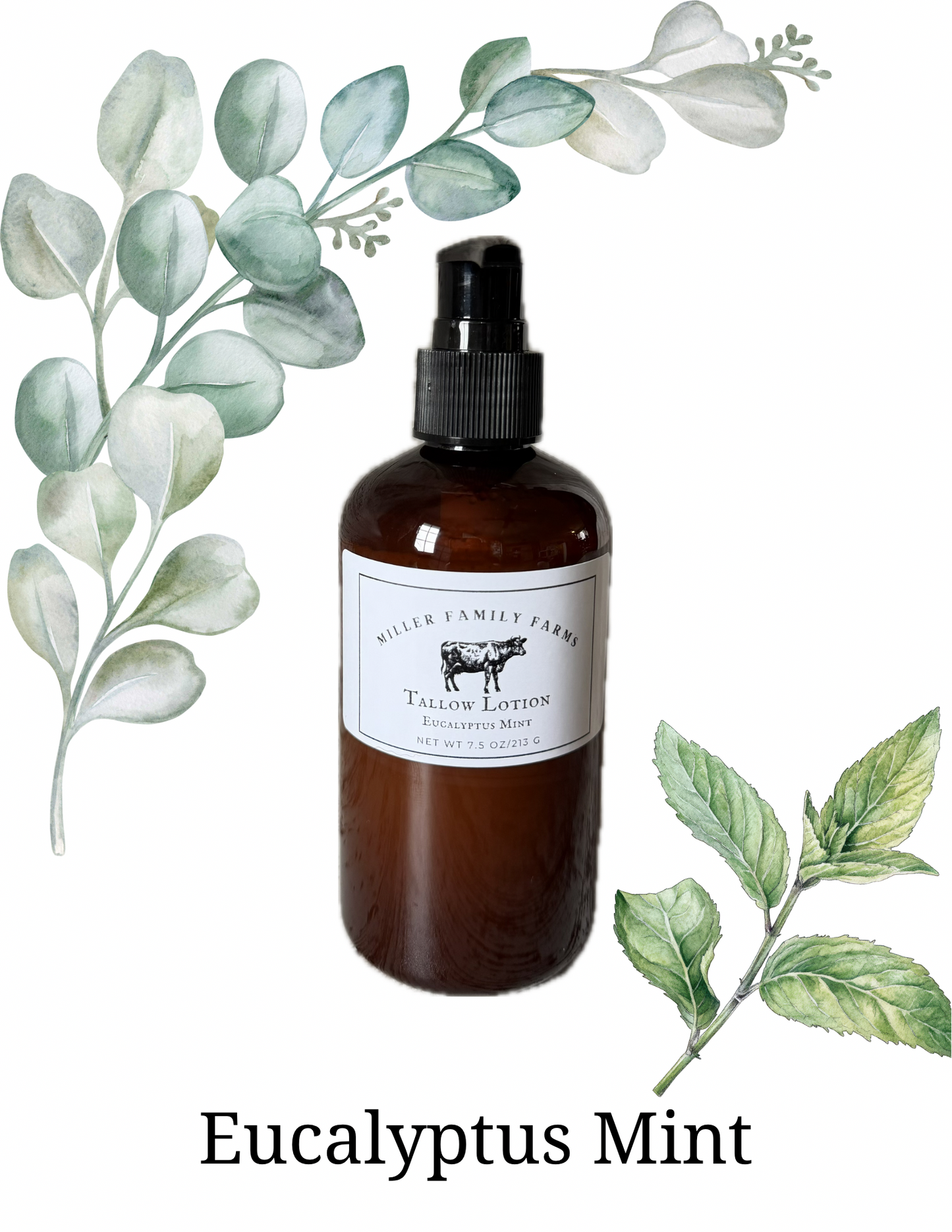 Tallow Body Lotion